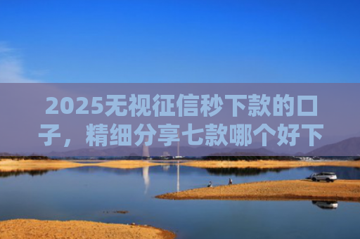 2025无视征信秒下款的口子，精细分享七款哪个好下款的网贷口子
