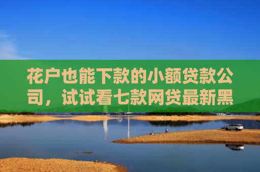 花户也能下款的小额贷款公司，试试看七款网贷最新黑户下款口子