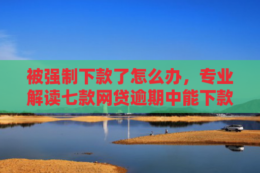 被强制下款了怎么办，专业解读七款网贷逾期中能下款的口子