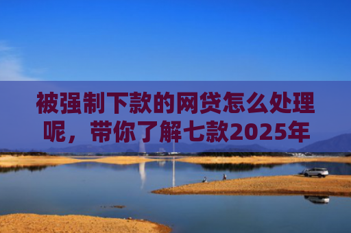 被强制下款的网贷怎么处理呢，带你了解七款2025年容易下款的网贷口子