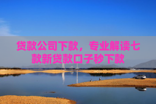 贷款公司下款，专业解读七款新贷款口子秒下款