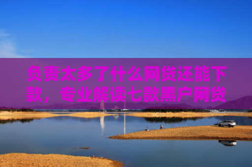 负责太多了什么网贷还能下款，专业解读七款黑户网贷能下款的口子