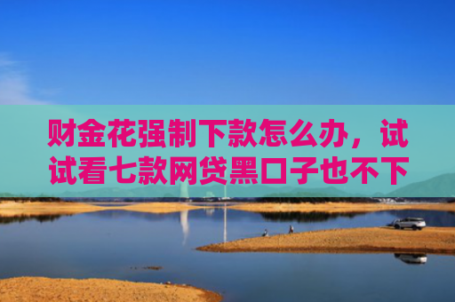 财金花强制下款怎么办，试试看七款网贷黑口子也不下款 是为什么