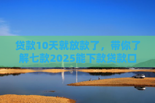 贷款10天就放款了，带你了解七款2025能下款贷款口子
