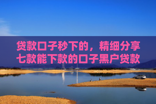 贷款口子秒下的，精细分享七款能下款的口子黑户贷款