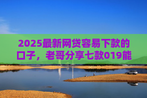 2025最新网贷容易下款的口子，老哥分享七款019能下款的网贷口子