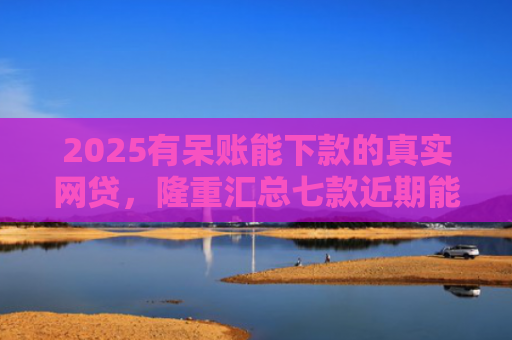 2025有呆账能下款的真实网贷，隆重汇总七款近期能下款的网贷口子