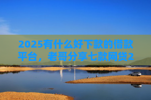 2025有什么好下款的借款平台，老哥分享七款网贷2025下款口子