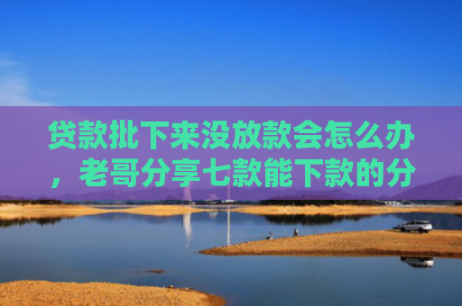 贷款批下来没放款会怎么办，老哥分享七款能下款的分期贷款口子