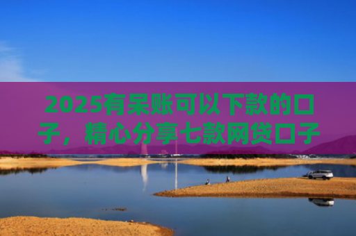 2025有呆账可以下款的口子，精心分享七款网贷口子为什么会下款