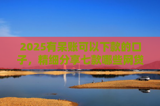 2025有呆账可以下款的口子，精细分享七款哪些网贷口子好下款的
