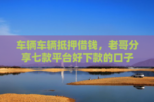 车辆车辆抵押借钱，老哥分享七款平台好下款的口子