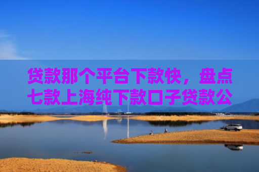 贷款那个平台下款快，盘点七款上海纯下款口子贷款公司
