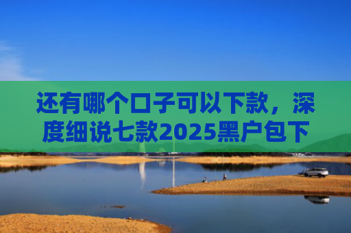 还有哪个口子可以下款，深度细说七款2025黑户包下款网贷
