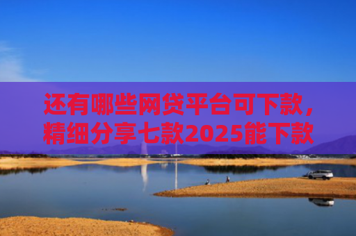 还有哪些网贷平台可下款，精细分享七款2025能下款网贷黑户