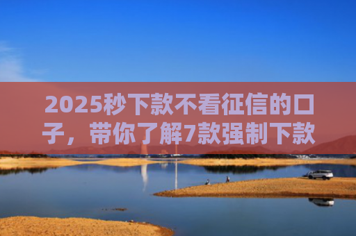 2025秒下款不看征信的口子，带你了解7款强制下款的网贷口子