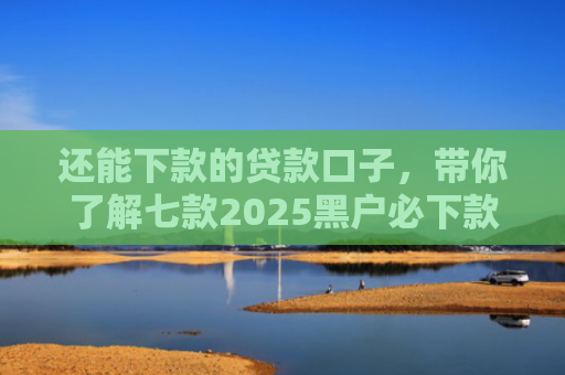 还能下款的贷款口子，带你了解七款2025黑户必下款网贷