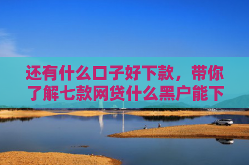 还有什么口子好下款，带你了解七款网贷什么黑户能下款