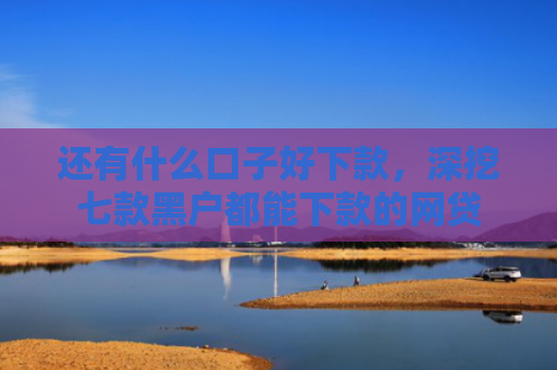 还有什么口子好下款，深挖七款黑户都能下款的网贷