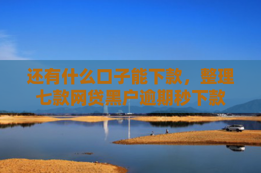 还有什么口子能下款，整理七款网贷黑户逾期秒下款