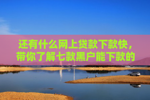 还有什么网上贷款下款快，带你了解七款黑户能下款的网贷？