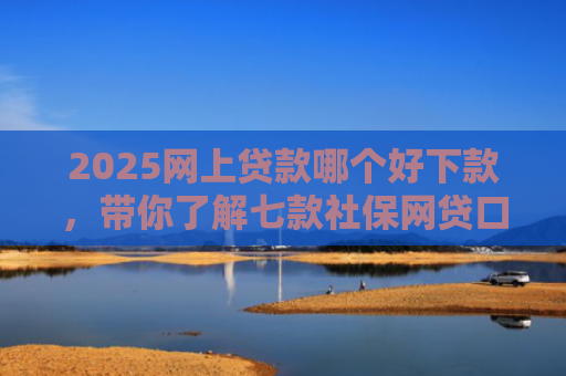2025网上贷款哪个好下款，带你了解七款社保网贷口子那个下款快