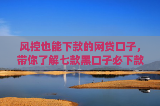 风控也能下款的网贷口子，带你了解七款黑口子必下款app2025的放款条件