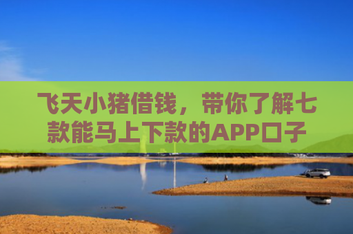 飞天小猪借钱，带你了解七款能马上下款的APP口子