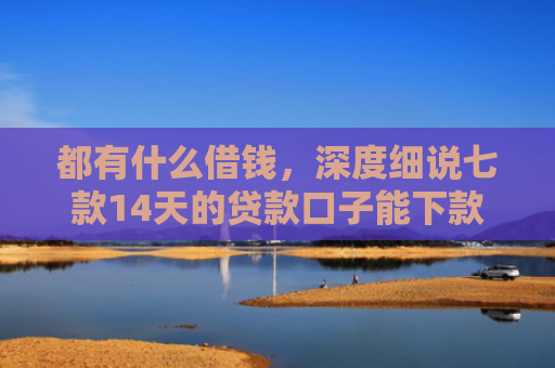 都有什么借钱，深度细说七款14天的贷款口子能下款吗