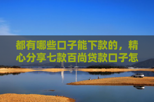 都有哪些口子能下款的，精心分享七款百尚贷款口子怎么样下款