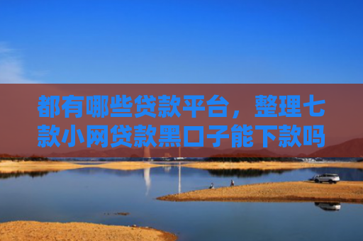 都有哪些贷款平台，整理七款小网贷款黑口子能下款吗