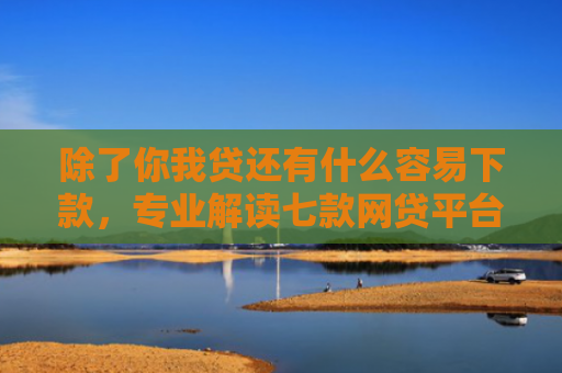 除了你我贷还有什么容易下款，专业解读七款网贷平台好下款的口子