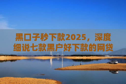 黑口子秒下款2025，深度细说七款黑户好下款的网贷平台