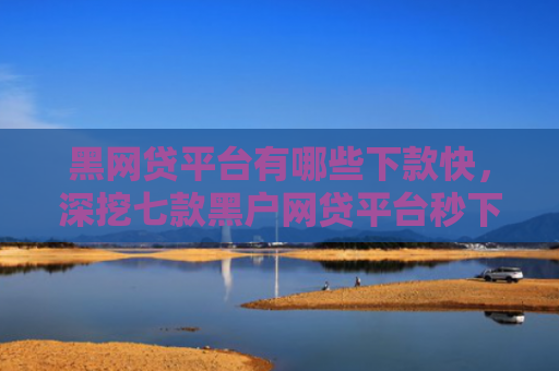 黑网贷平台有哪些下款快，深挖七款黑户网贷平台秒下款评论