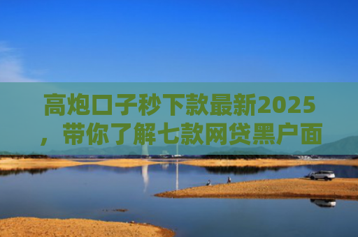 高炮口子秒下款最新2025，带你了解七款网贷黑户面签能下款吗