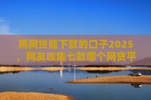 黑网贷能下款的口子2025，网友收集七款哪个网贷平台黑户能下款