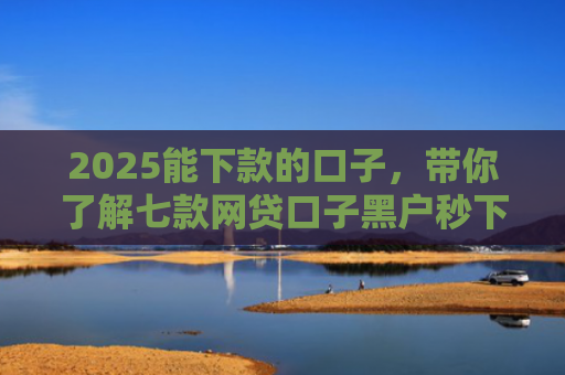 2025能下款的口子，带你了解七款网贷口子黑户秒下款