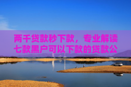 两千贷款秒下款，专业解读七款黑户可以下款的贷款公司