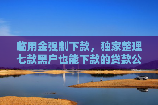 临用金强制下款，独家整理七款黑户也能下款的贷款公司