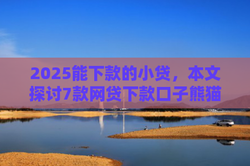 2025能下款的小贷，本文探讨7款网贷下款口子熊猫应急