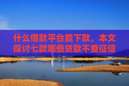 什么借款平台能下款，本文探讨七款哪些贷款不查征信好下款