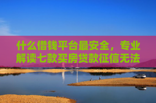 什么借钱平台最安全，专业解读七款买房贷款征信无法下款