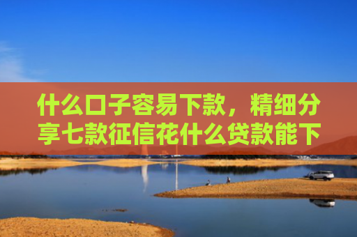 什么口子容易下款，精细分享七款征信花什么贷款能下款