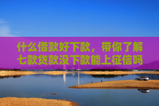 什么借款好下款，带你了解七款贷款没下款能上征信吗