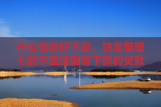 什么借款好下款，独家整理七款不查征信易下款的贷款