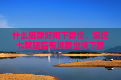 什么借款好用下款快，深挖七款征信有贷款也没下款