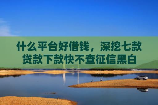 什么平台好借钱，深挖七款贷款下款快不查征信黑白