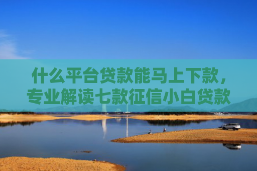 什么平台贷款能马上下款，专业解读七款征信小白贷款容易下款吗