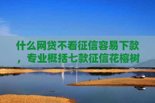 什么网贷不看征信容易下款，专业概括七款征信花榕树贷款能下款吗
