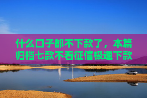 什么口子都不下款了，本篇归档七款不看征信极速下款的贷款